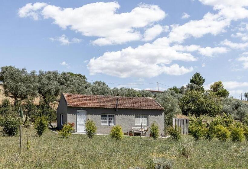 민박 Dominio Vale Flores