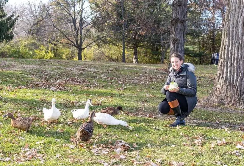 Aamiaismajoitus (B&B) Harmony Inn, Huntley Illinois