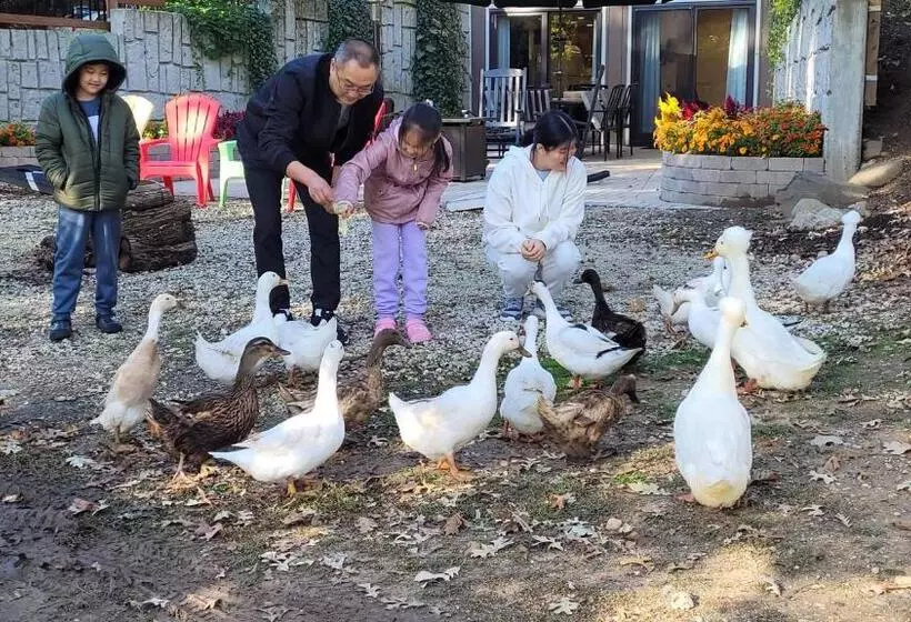 Aamiaismajoitus (B&B) Harmony Inn, Huntley Illinois