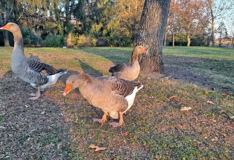Aamiaismajoitus (B&B) Harmony Inn, Huntley Illinois