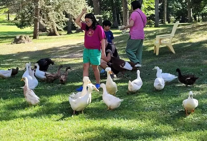 Aamiaismajoitus (B&B) Harmony Inn, Huntley Illinois