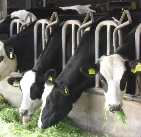 Bed And Breakfast Hoeve Spoorzicht