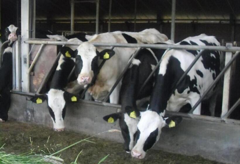 Bed And Breakfast Hoeve Spoorzicht