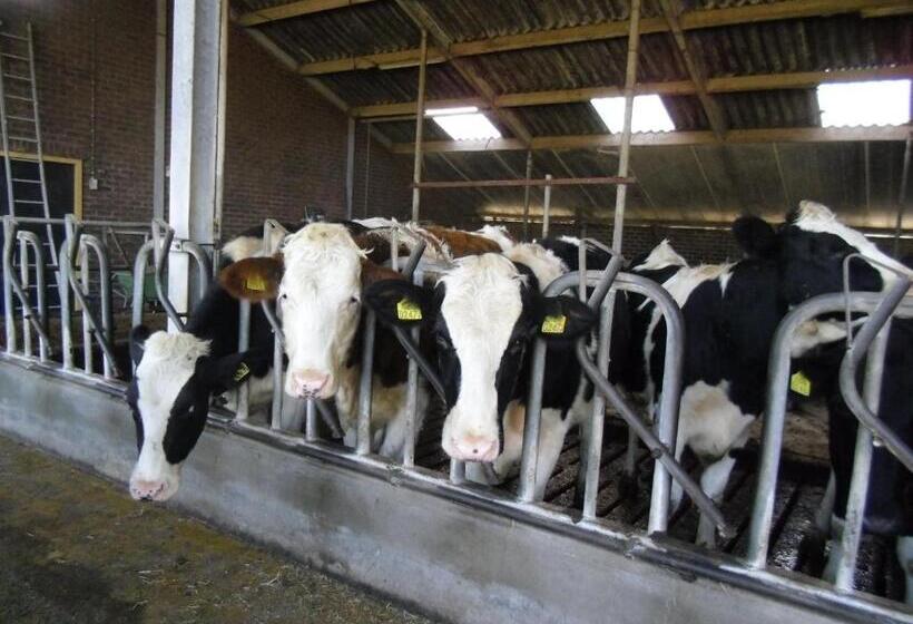 Bed And Breakfast Hoeve Spoorzicht