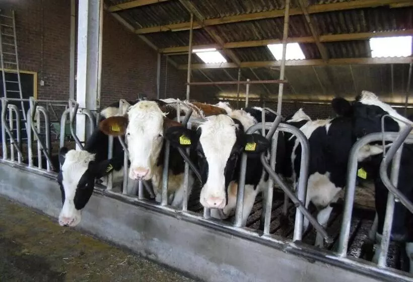 Bed And Breakfast Hoeve Spoorzicht