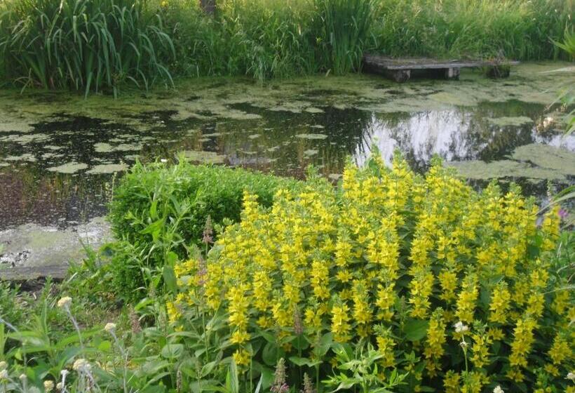 Bed And Breakfast Hoeve Spoorzicht