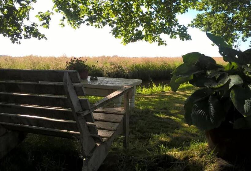 Bed and Breakfast Kleine Buurt Aan De Weide