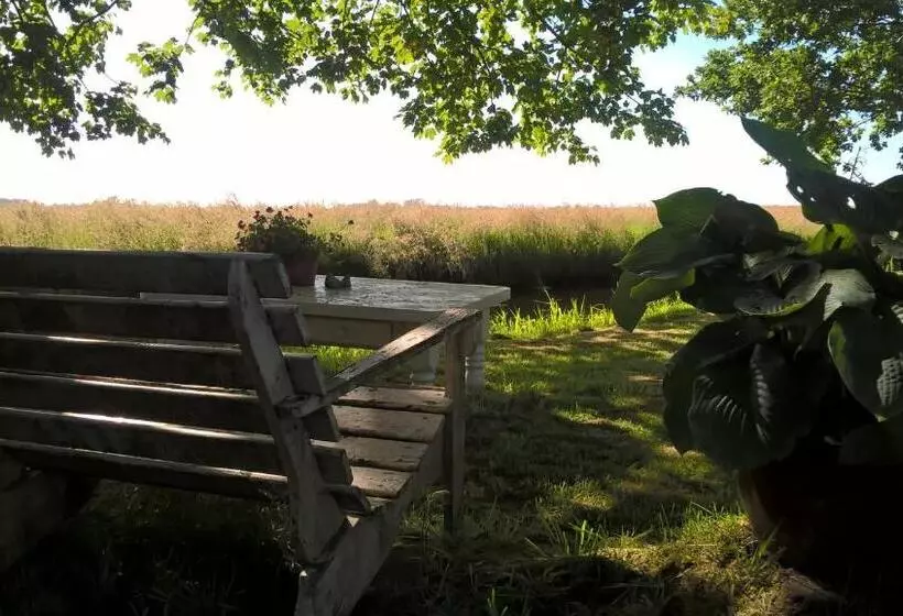 Aamiaismajoitus (B&B) Kleine Buurt Aan De Weide