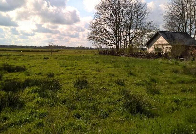 Bed and Breakfast Kleine Buurt Aan De Weide