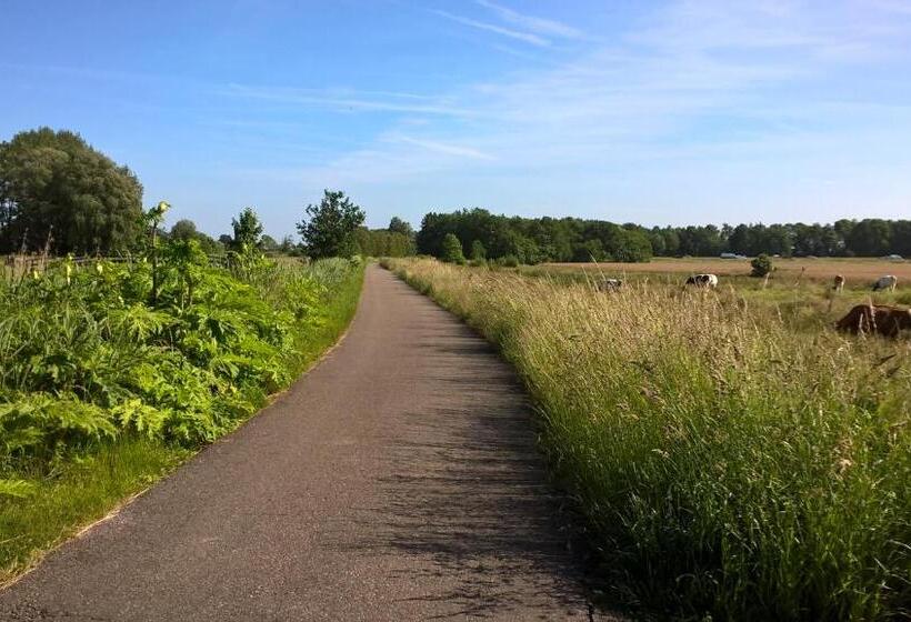 Bed and Breakfast Kleine Buurt Aan De Weide