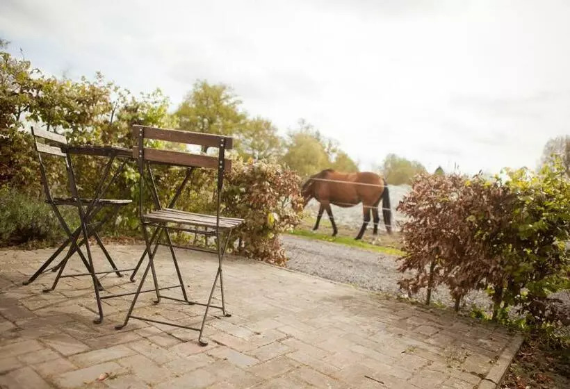 Bed & Breakfast De Bimd Hoeve
