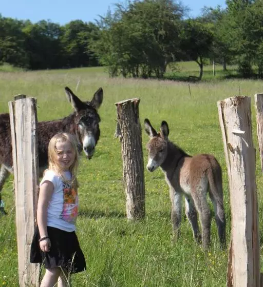 ホテル Ferme Pédagogique  L Bout D Chemin