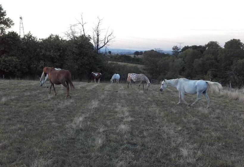 Отель Gite De Prejeurin