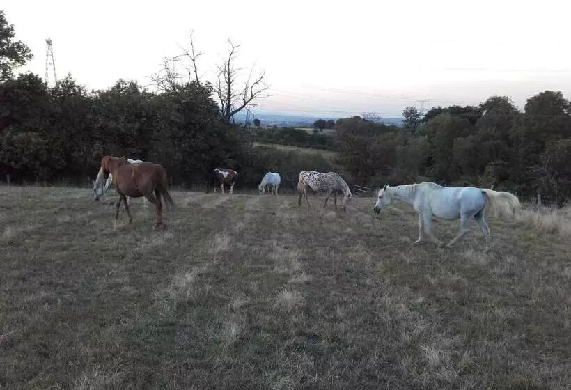 Hotelli Gite De Prejeurin