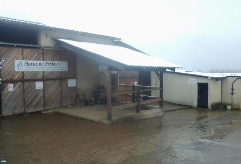 Отель Gite De Prejeurin