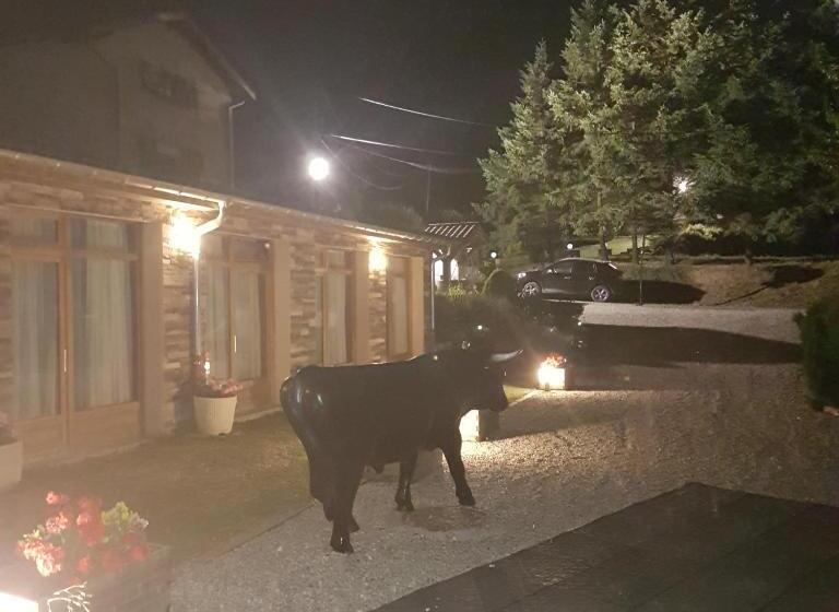 Отель Gite De Prejeurin