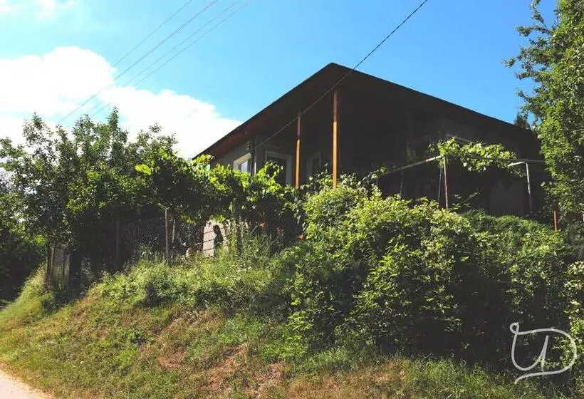 Majatalo вила ирена