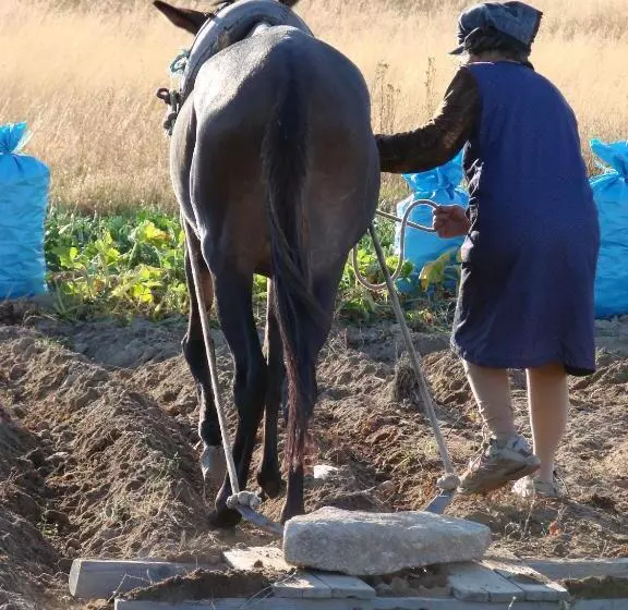 Majatalo A Queijaria
