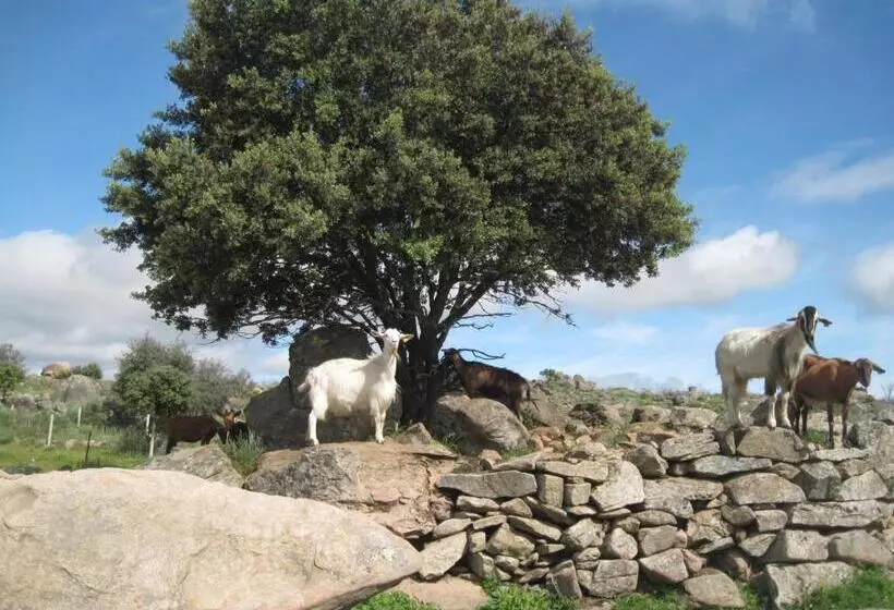 Majatalo A Queijaria