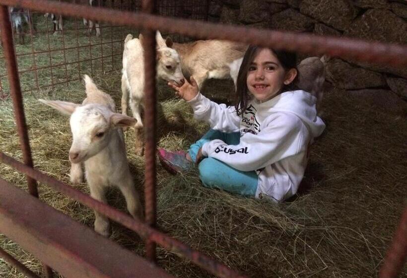 פנסיון A Queijaria