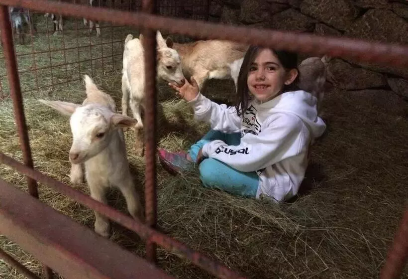 Majatalo A Queijaria