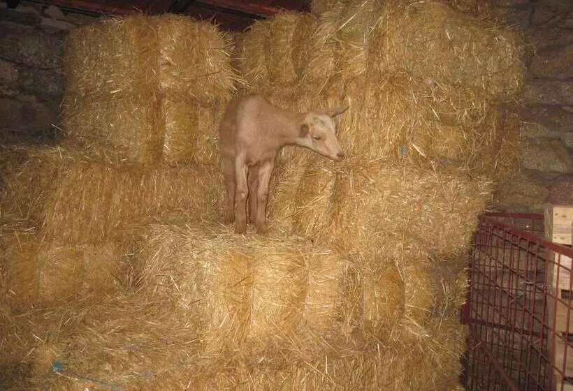 Majatalo A Queijaria