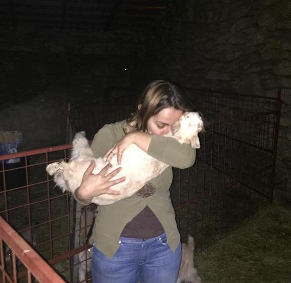 פנסיון A Queijaria