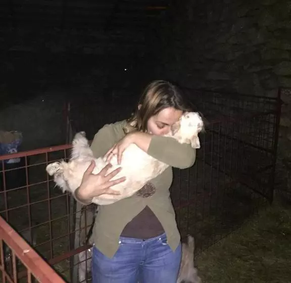 Majatalo A Queijaria