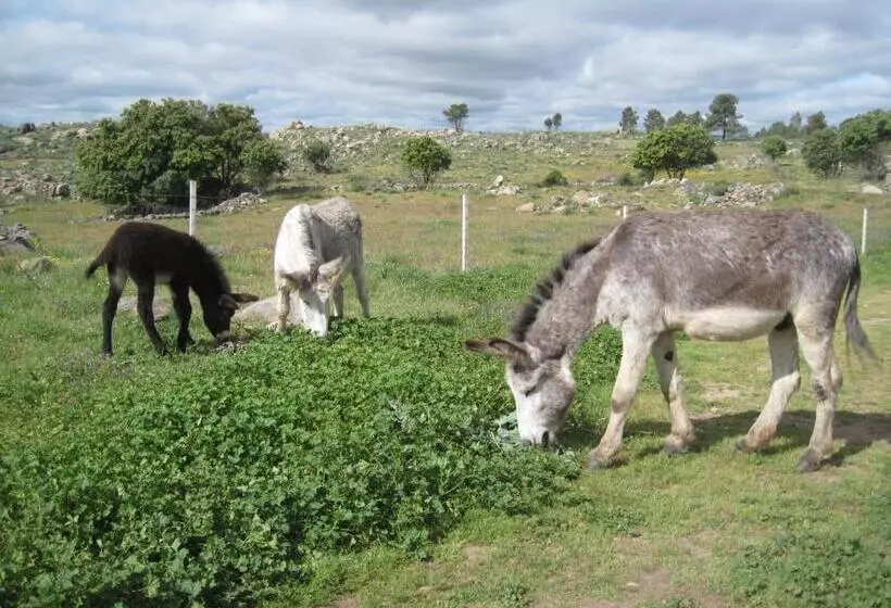 Majatalo A Queijaria