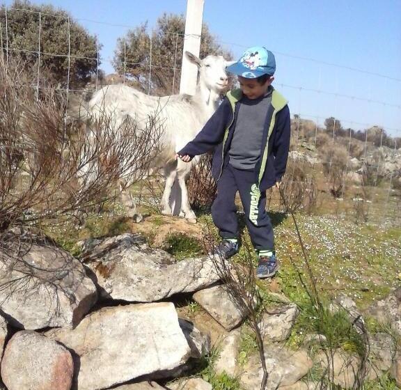 פנסיון A Queijaria