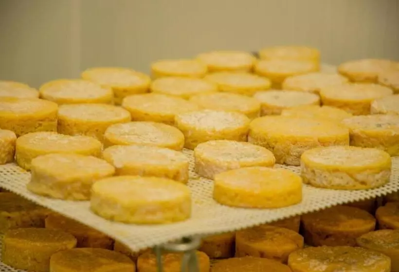 Majatalo A Queijaria