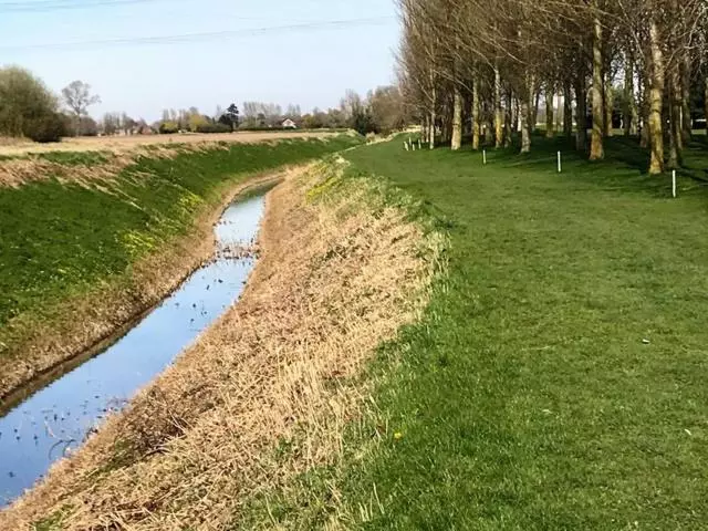 Majatalo Augusta Dreams