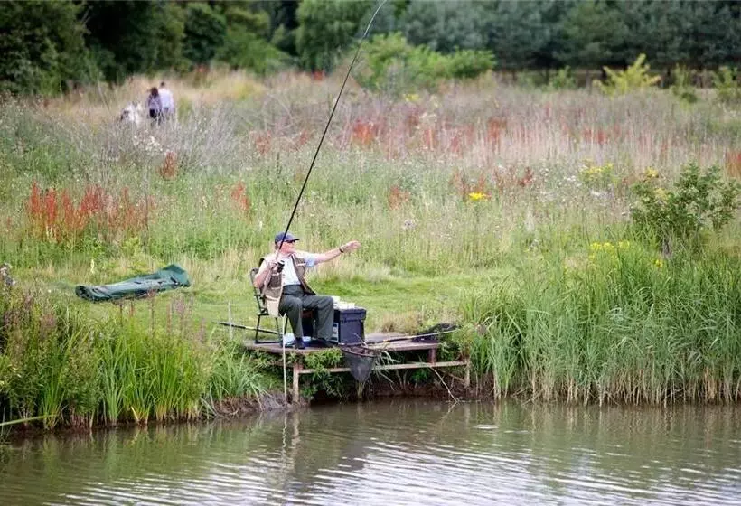 Majatalo Augusta Dreams