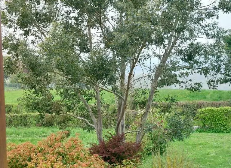Majatalo Detente A La Campagne