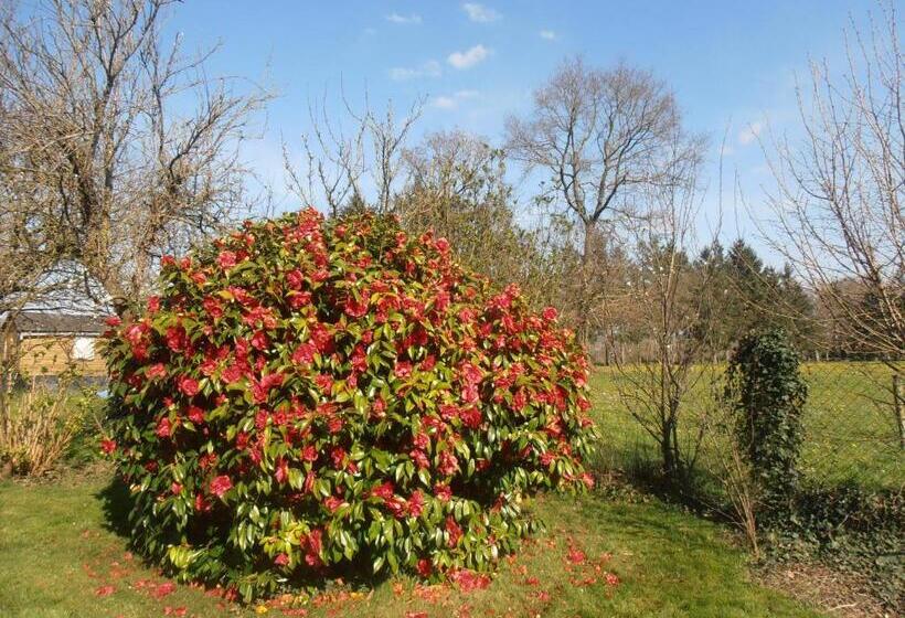 ペンション La Clôture