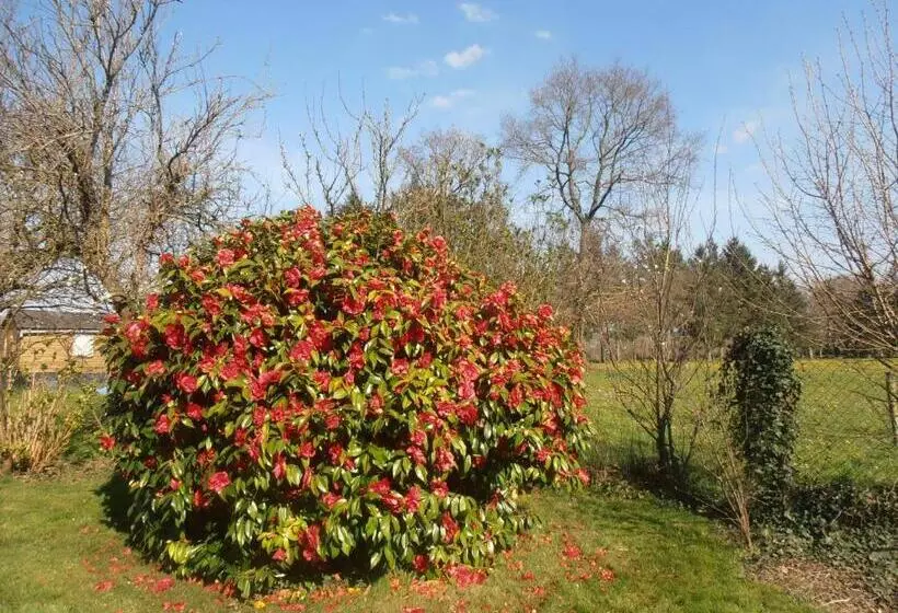 ペンション La Clôture