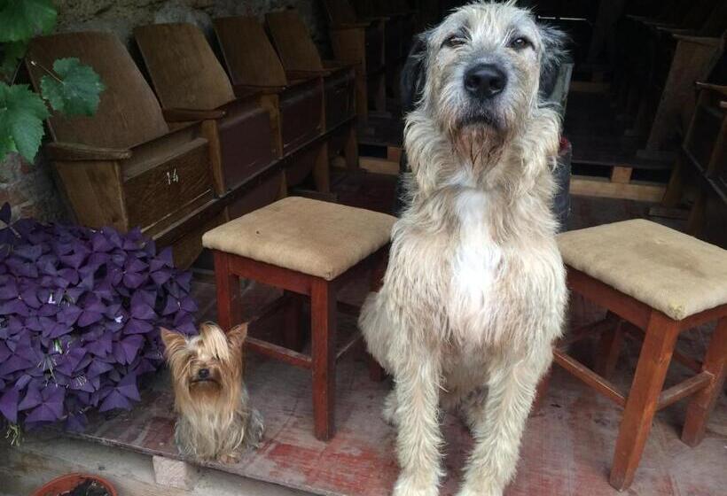 ペンション Mníchov Dvor