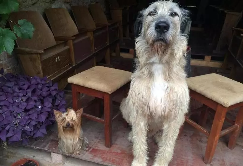 Majatalo Mníchov Dvor