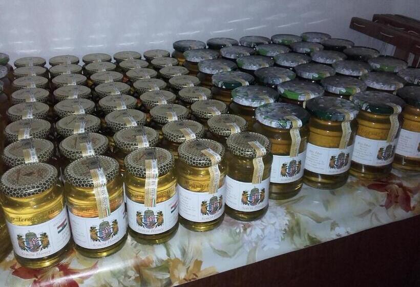 Pensjonat Méz Bor Szálló