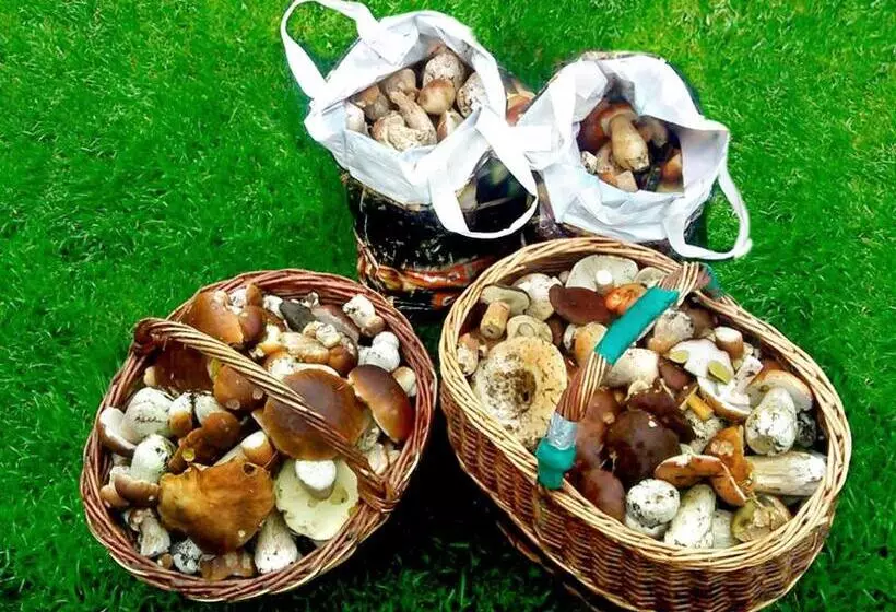 ペンション Penzion Muflon