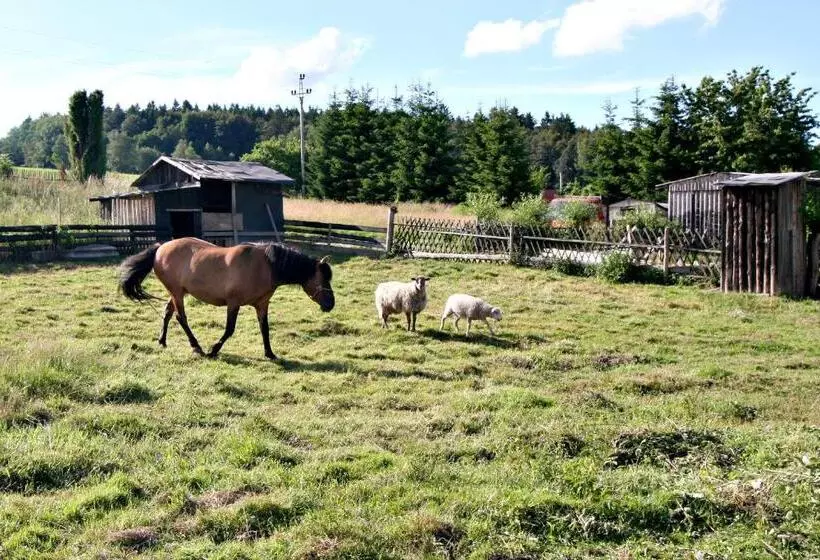 ペンション Penzion Muflon