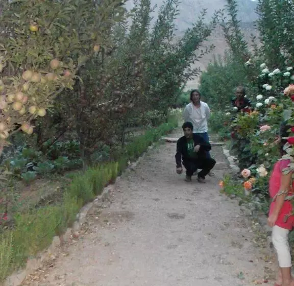 Majatalo Safranière Du M  Goun