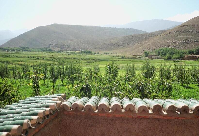 Pension (Hôtel basse catégorie) Safranière Du M  Goun