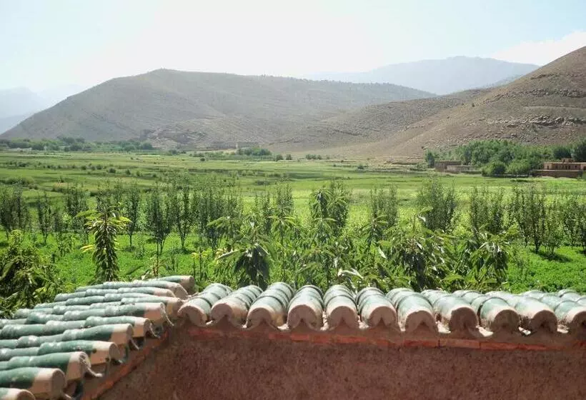 Majatalo Safranière Du M  Goun