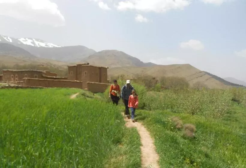 Majatalo Safranière Du M  Goun