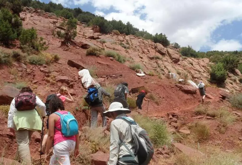Majatalo Safranière Du M  Goun