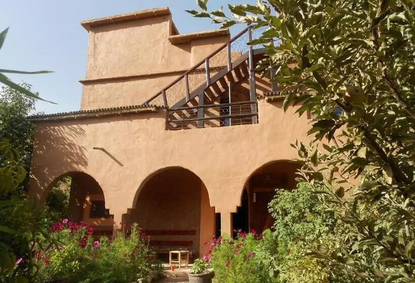 Majatalo Safranière Du M  Goun