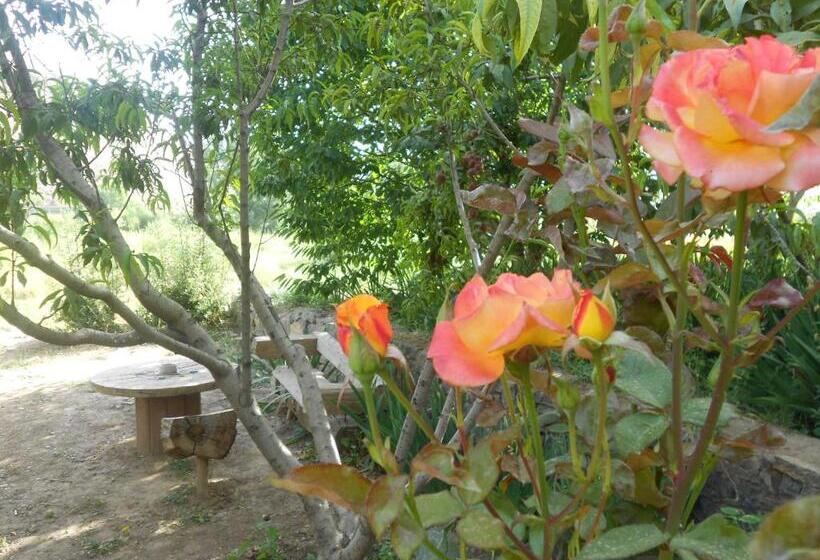 Pension (Hôtel basse catégorie) Safranière Du M  Goun