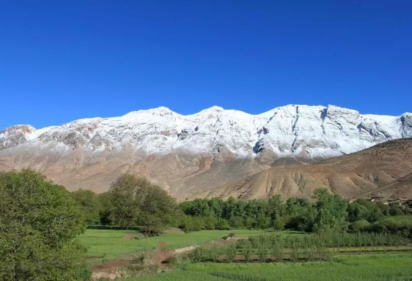 Majatalo Safranière Du M  Goun