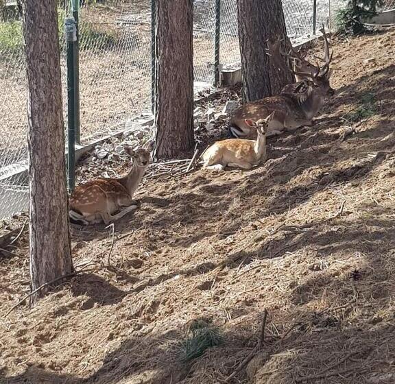 펜션 Wine Boutique Complex ,,hrisimov